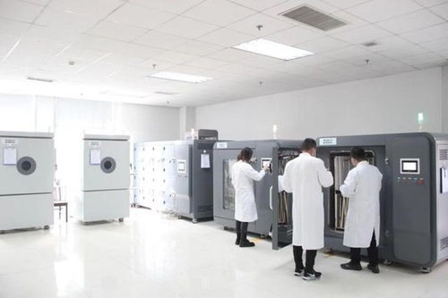 臨沂檢驗檢測中心相關木業(yè)行業(yè)入選優(yōu)秀案例